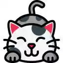Kittens  Cats Wallpapers  screen for extension Chrome web store in OffiDocs Chromium