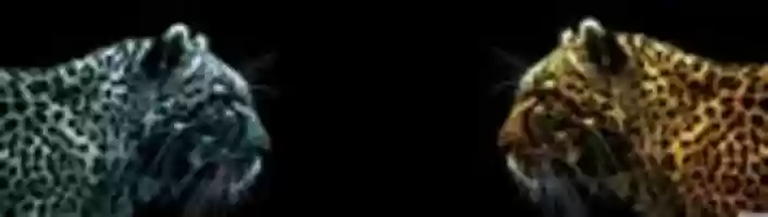 Free download Kj4213007 free photo or picture to be edited with GIMP online image editor