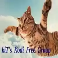 Free download Kkf 2 Small Cat free photo or picture to be edited with GIMP online image editor