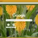 Kniphofia  screen for extension Chrome web store in OffiDocs Chromium