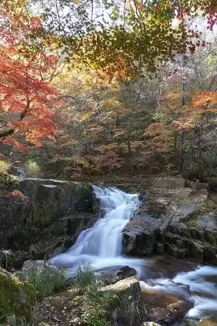 Free download Korea Autumn Nature The -  free photo or picture to be edited with GIMP online image editor