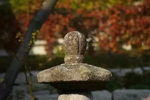 Free download Korea Fall Autumn -  free photo or picture to be edited with GIMP online image editor