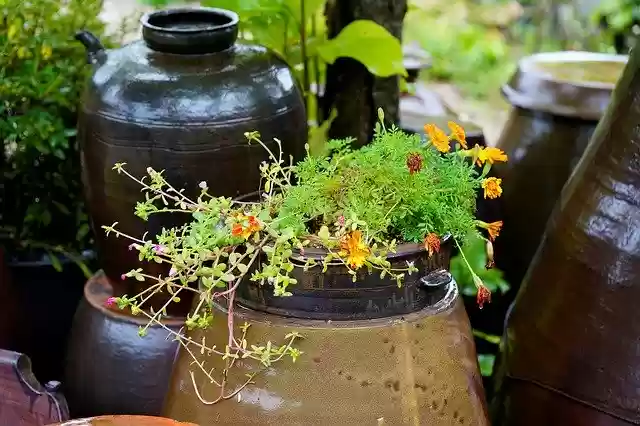 Free download Korea Jar Republic Of -  free photo or picture to be edited with GIMP online image editor