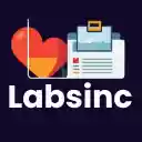 Labsinc  screen for extension Chrome web store in OffiDocs Chromium