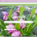 Lady’s Slipper Orchid  screen for extension Chrome web store in OffiDocs Chromium