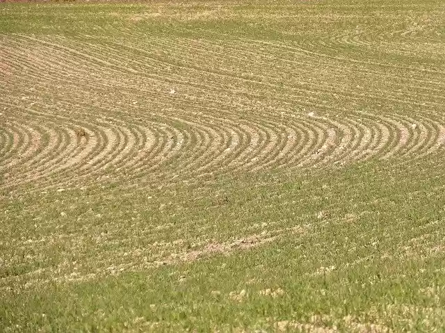 Free download Laid Background Texture -  free photo or picture to be edited with GIMP online image editor