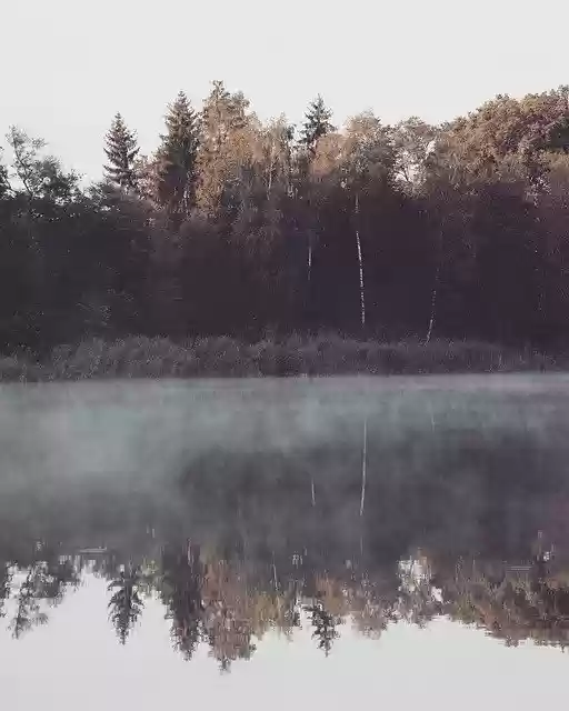 Free download Lake Autumn Fog -  free photo or picture to be edited with GIMP online image editor