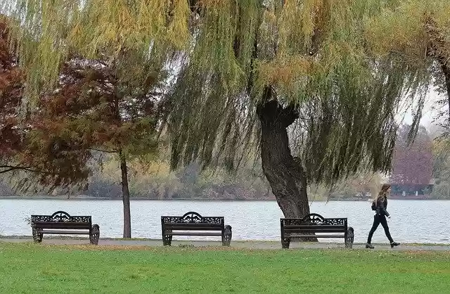 Free download Lake Autumn Landscape -  free photo or picture to be edited with GIMP online image editor