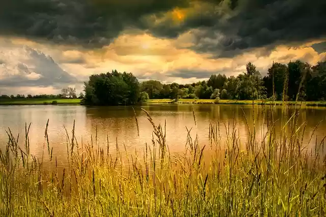 Free download lake beach plants clouds landscape free picture to be edited with GIMP free online image editor