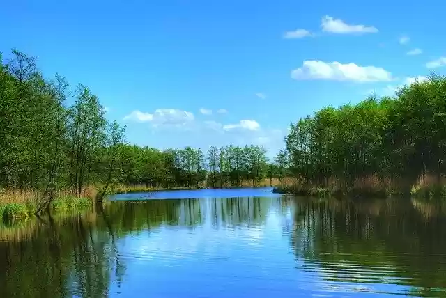 Free download Lake Cove Forest -  free photo or picture to be edited with GIMP online image editor