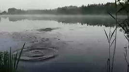 Free download Lake Fog Stone -  free video to be edited with OpenShot online video editor