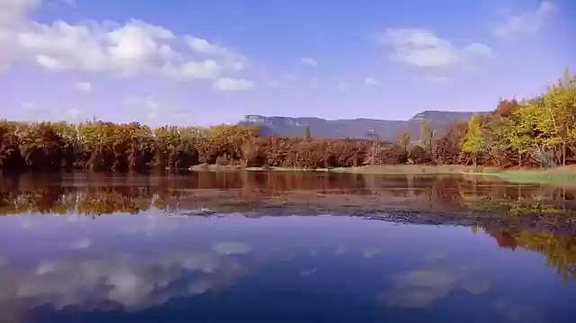 Free download lake forest landscape nature free picture to be edited with GIMP free online image editor