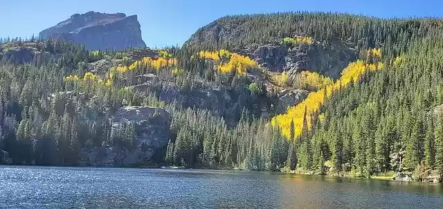 Free download Lake Forest Nature -  free free photo or picture to be edited with GIMP online image editor