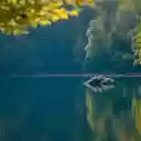 Lake of trees and rocks  screen for extension Chrome web store in OffiDocs Chromium