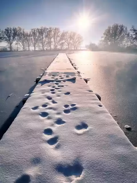 Free download lake snow trees light pond free picture to be edited with GIMP free online image editor