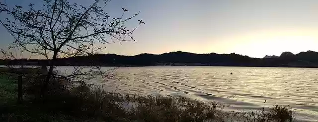 Free download Lake Sunrise Tree -  free free photo or picture to be edited with GIMP online image editor