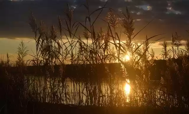 Lake Sunset  screen for extension Chrome web store in OffiDocs Chromium