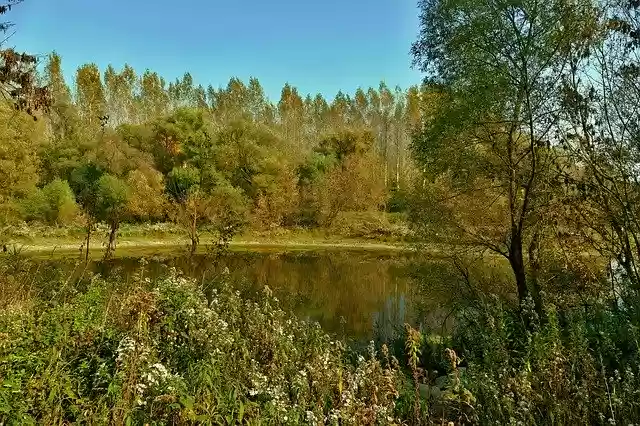 Free download Lake Swamp Istragonov -  free photo or picture to be edited with GIMP online image editor