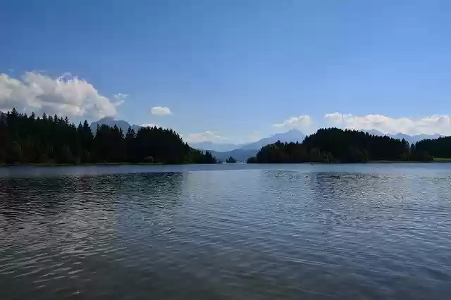 Free download Lake Tree Landscape -  free photo or picture to be edited with GIMP online image editor