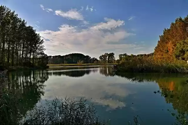 Free download Lake Trees Nature -  free photo or picture to be edited with GIMP online image editor