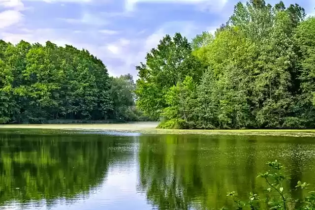 Free download lake trees nature pond water free picture to be edited with GIMP free online image editor
