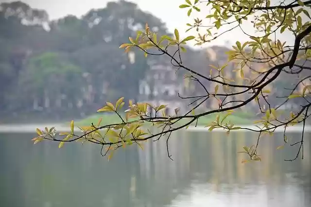 Free download Lake Turtle Tower Hoan Kiem -  free photo or picture to be edited with GIMP online image editor