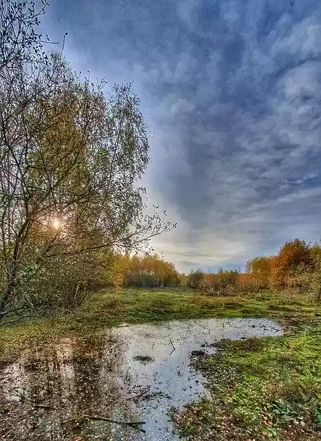 Free download Landscape Autumn Horse -  free free photo or picture to be edited with GIMP online image editor