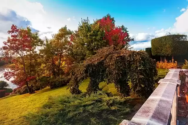 Free download Landscape Autumn Paint -  free free photo or picture to be edited with GIMP online image editor