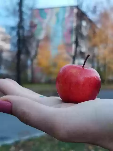 Free download Landscape Autumn Red -  free free photo or picture to be edited with GIMP online image editor