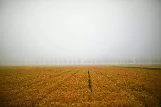 Free download Landscape Barley Field Nature -  free photo or picture to be edited with GIMP online image editor