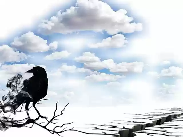 Free download Landscape Bird Sky -  free illustration to be edited with GIMP free online image editor
