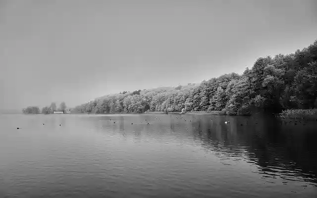 Free download Landscape Black And White Water free photo template to be edited with GIMP online image editor