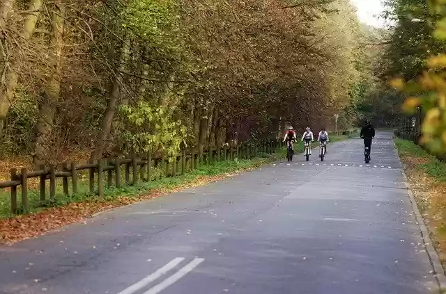 Free download Landscape Forest Nature -  free free photo or picture to be edited with GIMP online image editor