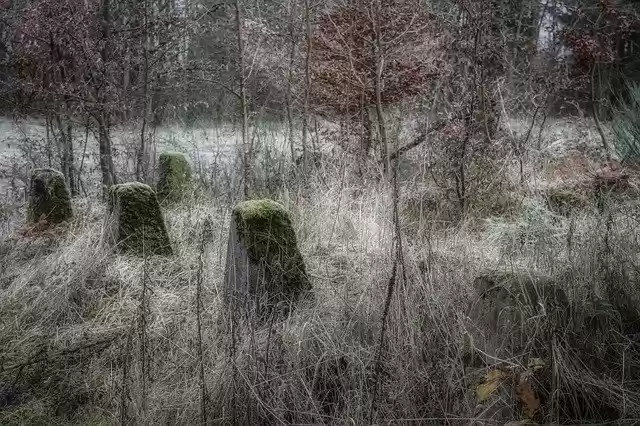 Free download Landscape Military Nature -  free free photo or picture to be edited with GIMP online image editor