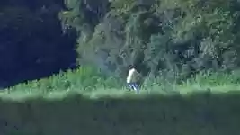 Free download Landscape Nature Green -  free video to be edited with OpenShot online video editor