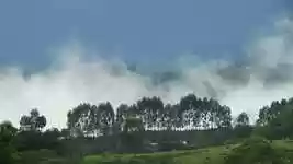 Free download Landscape Nature Trees -  free free photo or picture to be edited with GIMP online image editor