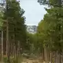 Landscape Photography of a Forest  screen for extension Chrome web store in OffiDocs Chromium