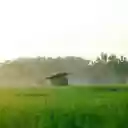 Landscape Photography of a Rice Field  screen for extension Chrome web store in OffiDocs Chromium