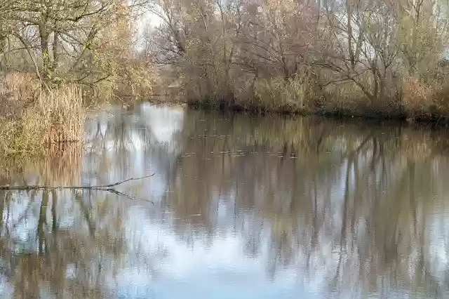 Free download Landscape River Water -  free free photo or picture to be edited with GIMP online image editor