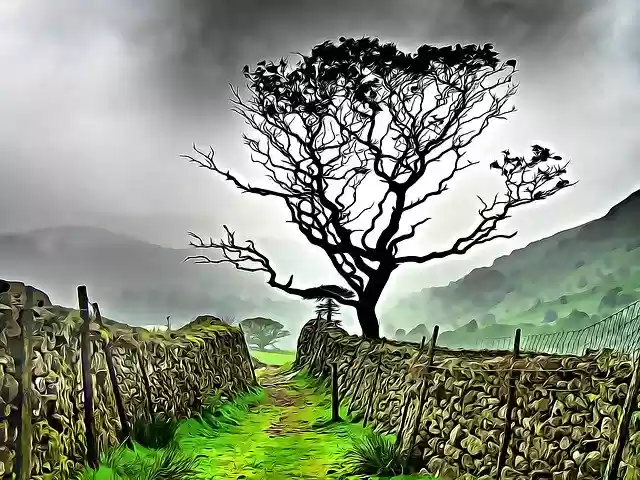 Free download Landscape Sky Nature -  free free photo or picture to be edited with GIMP online image editor