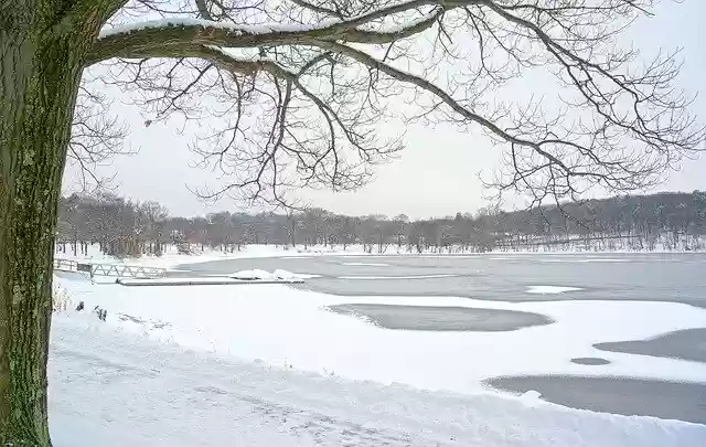 Free download Landscape Snow Wi -  free photo or picture to be edited with GIMP online image editor