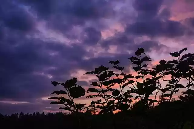 הורדה חינם של Landscape Sunset Sky - תמונה או תמונה בחינם לעריכה עם עורך התמונות המקוון GIMP