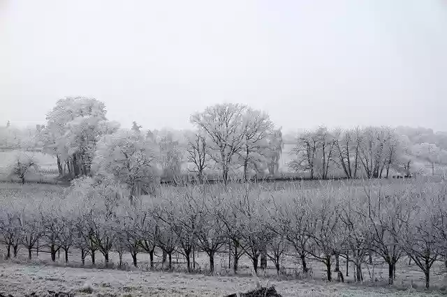 Free download Landscape White Winter -  free photo or picture to be edited with GIMP online image editor