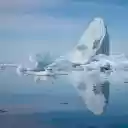 Large iceberg on the sea  screen for extension Chrome web store in OffiDocs Chromium