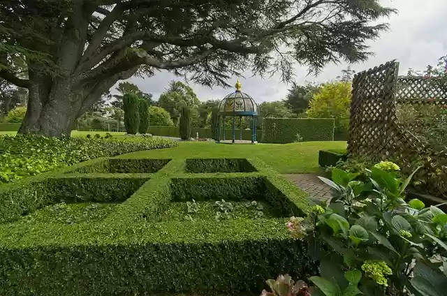 Free download larnach castle gardens nz free picture to be edited with GIMP free online image editor