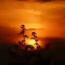 Late afternoon  screen for extension Chrome web store in OffiDocs Chromium