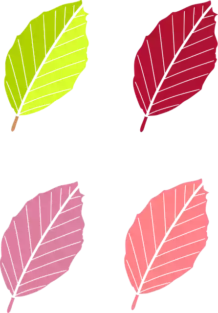 Free download Leaf Autumn Nature - Free vector graphic on Pixabay free illustration to be edited with GIMP free online image editor
