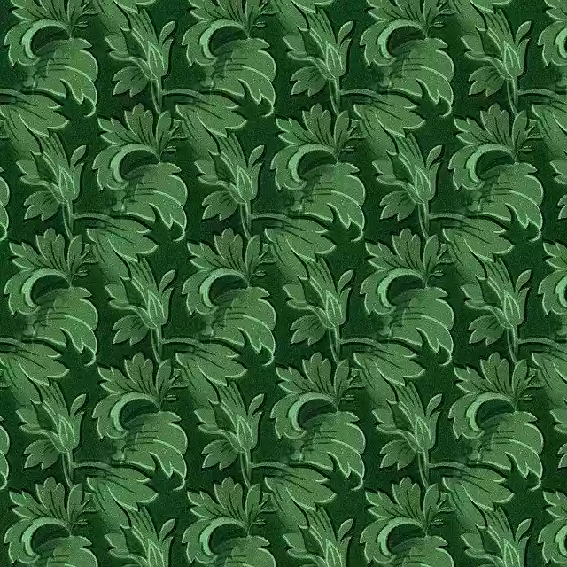 Free download Leaf Flora Nature -  free illustration to be edited with GIMP free online image editor