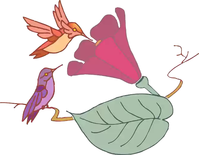Free download Leaf Flower Birds - Free vector graphic on Pixabay free illustration to be edited with GIMP free online image editor