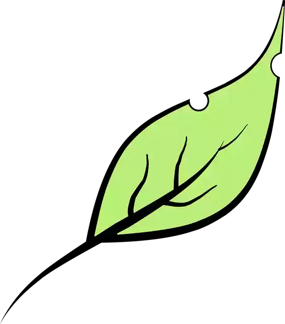 Free download Leaf Green - Free vector graphic on Pixabay free illustration to be edited with GIMP free online image editor